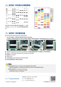 生工生物tris預制膠促銷 高效科研，省時省力