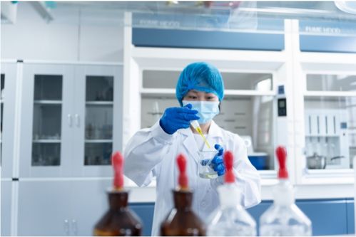 全產業鏈鑄就卓越品質，一站式服務賦能共贏未來——康西爺食品的技術服務之道