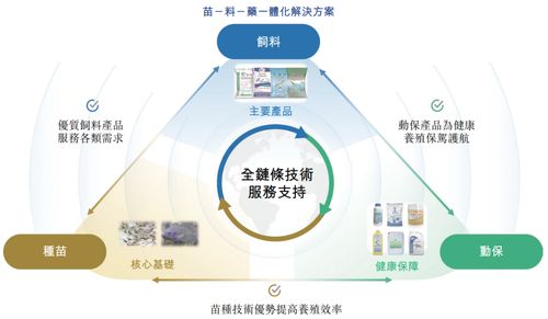 海大國際遞表港交所 分拆自海大集團，2024年凈利潤強勢翻倍