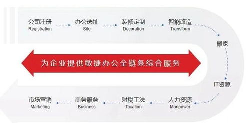 為什么選擇堂堂辦公的投資咨詢(xún)服務(wù)？